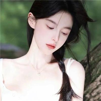 蒂科与鲨鱼