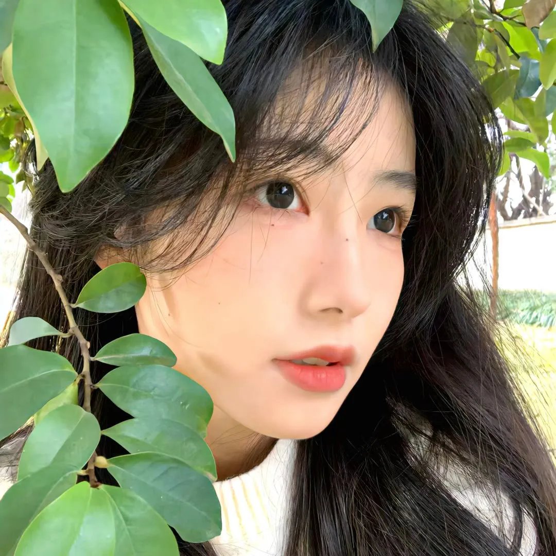 306房阳台的目击者
