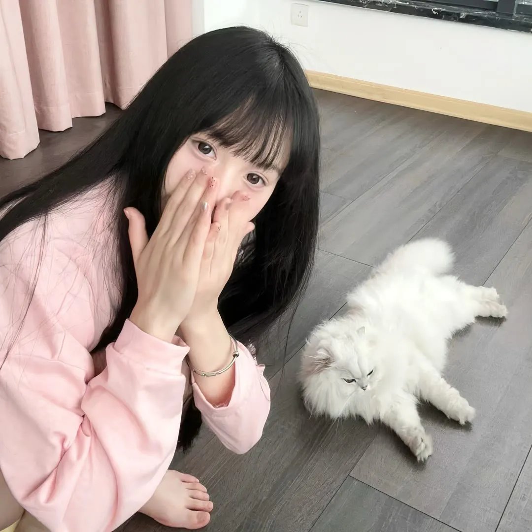 莉莉小姐的超完美日记